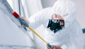 Best Pest Exclusion Services  in Northwest Harbor, NY